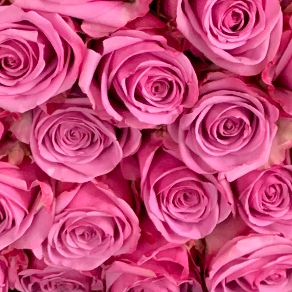 Meet your Posher, Tanya - Picture 1 of 1